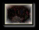 DSC00109_1.JPG